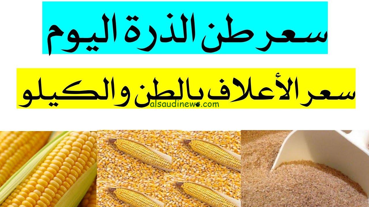 نار في سعره.. سعر طن الذرة الصفراء في مصر اليوم الأربعاء 25-9-2024 في جميع الأسواق المصرية