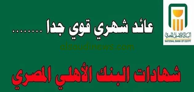 اقوى فوائد فى البنوك حاليا .. شهادات البنك الاهلى المصري الجديدة 2024 بعوائد تصل الى 30 %