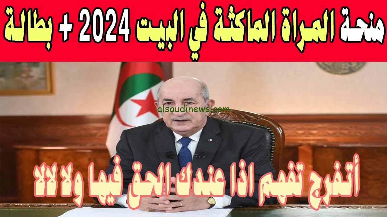 800 دينار.. منحة المرأة الماكثة في البيت 2024 عبر موقع الوكالة الوطنية للتشغيل