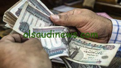 بشري سارة للجميع زيادة 25 % .. موعد صرف معاشات شهر اكتوبر 2024 من خلال nosi.gov.eg وأماكن صرفها