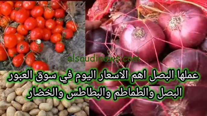 ” كيلو البصل الأحمر بكام؟؟ ” .. أسعار البصل اليوم الجمعة 13-9-2024 في مصر بعد زيادة سعر الطن