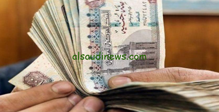 بشرة ساره لجميع القطاعات … زيادة مرتبات شهر اكتوبر 2024 والحد الادني لاجور العاملين في القطاع الحكومي