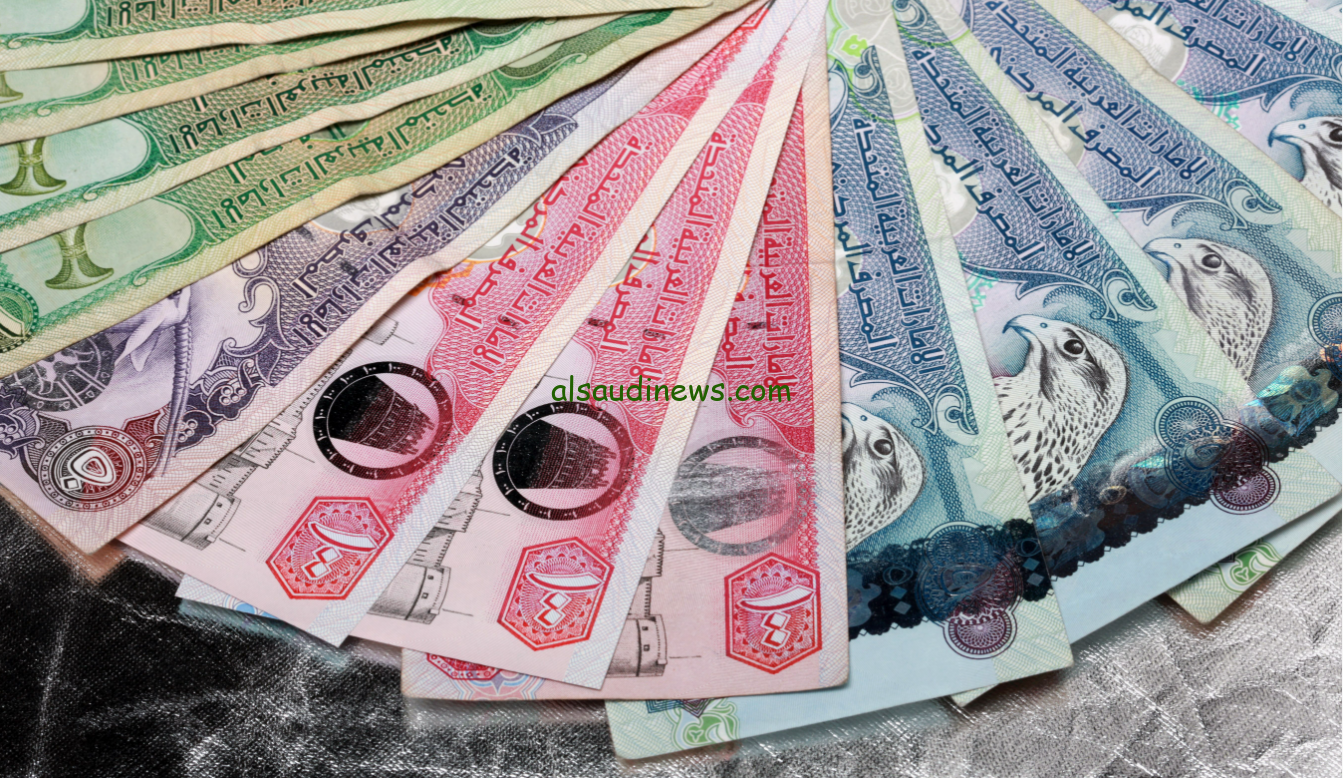 سعر الدرهم الاماراتي في السوق السوداء اليوم السبت 19 أكتوبر 2024 مقابل الجنية المصري