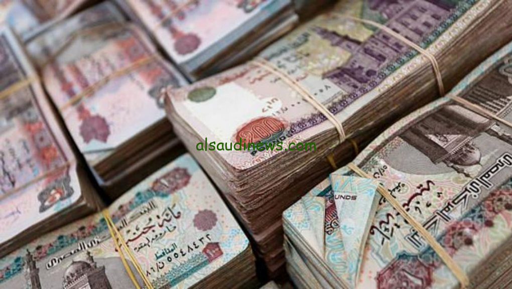 علاوة تحسين المعيشة وراتب شهرين مكافأة 2024 لموظفين القطاعات المختلفة