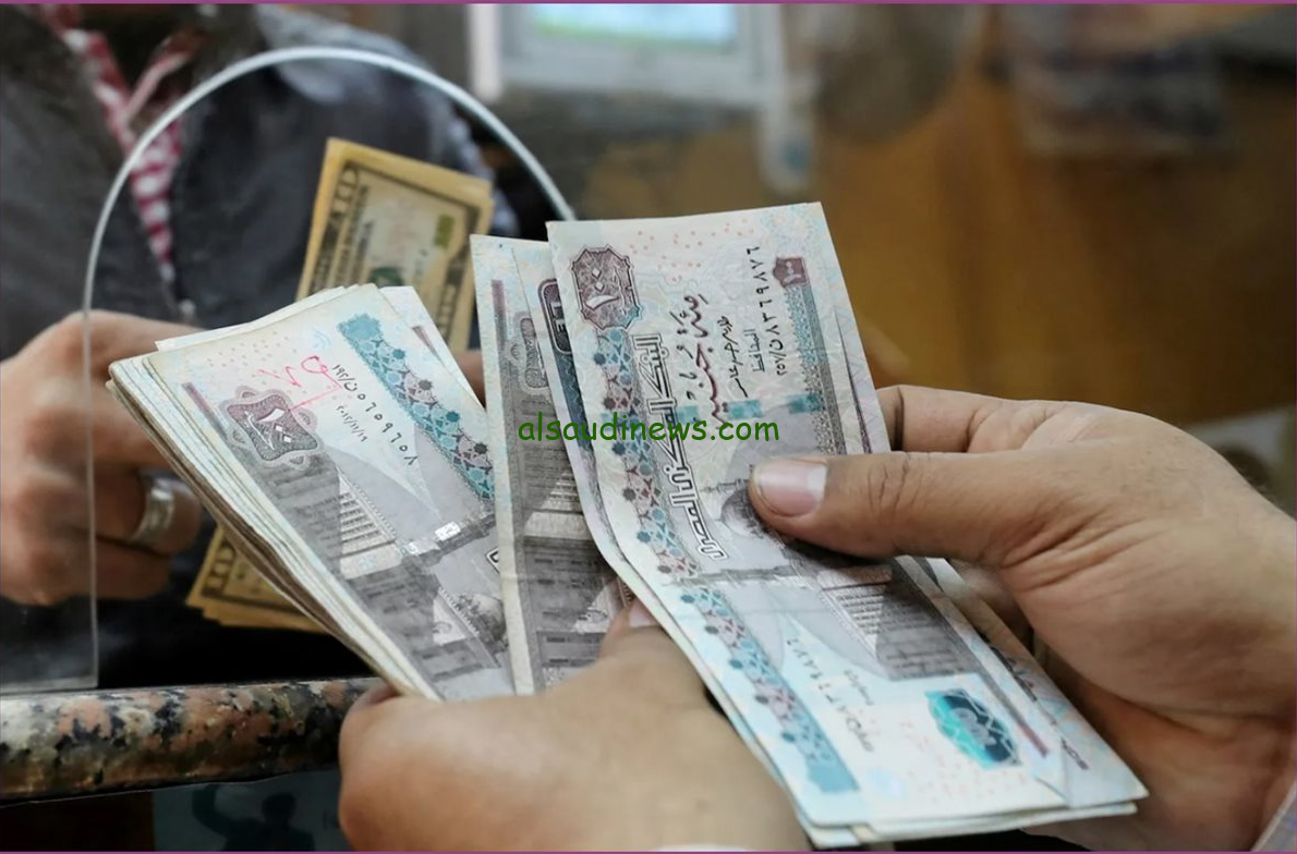 جدول صرف معاشات شهر نوفمبر 2024 وطريقة الاستعلام عنه بالرقم القومي عبر موقع الهيئة القومية للتأمين الاجتماعي