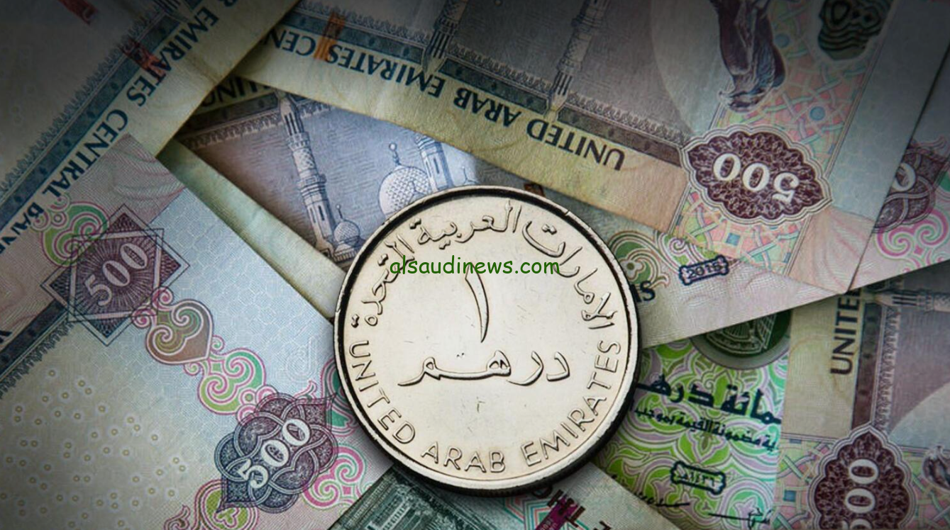 سعر الدينار الاماراتي مقابل الجنيه المصري اليوم الخميس 31-10-2024 في البنوك المصرية والسوق السوداء
