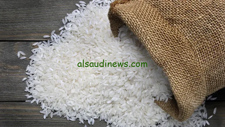 ” الحبة العريضة والرفيعة ” سعر طن الأرز الشعير اليوم الجمعة 4 اكتوبر 2024 في جميع الاسواق المصرية