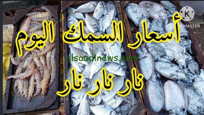 ” ارتفاع البلطي ” أسعار السمك اليوم الثلاثاء 29 اكتوبر 2024 للمستهلك في جميع الاسواق