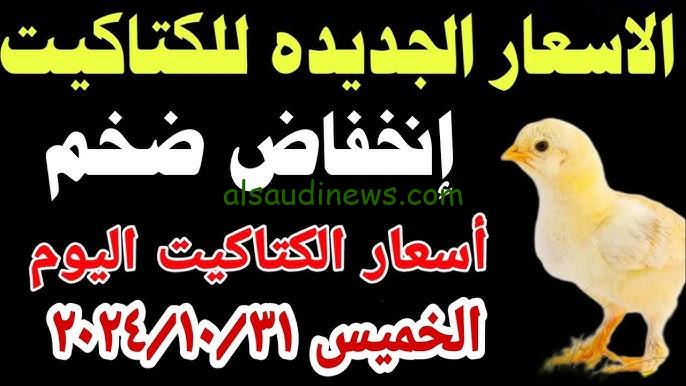 في النازل “ انخفاض كبير ! ” بورصة الدواجن اليوم أسعار الفراخ البيضاء والكتاكيت الخميس 31 أكتوبر 2024