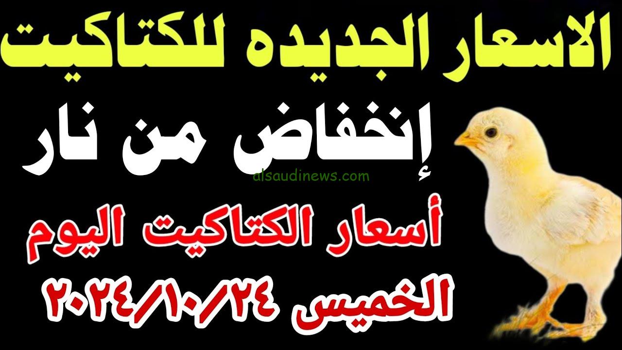 أسعار الكتاكيت اليوم الخميس 24 أكتوبر 2024 في برصة الدواجن والشركات