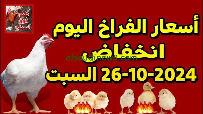“الكيلو تراجع 3 ج” أسعار الكتاكيت والفراخ اليوم السبت 26/10/2024 في برصة الدواجن