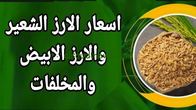“الاردب بقى بكام” اسعار الأرز الشعير اليوم الثلاثاء 29 أكتوبر 2024 في الأسواق والمحلات التجارية