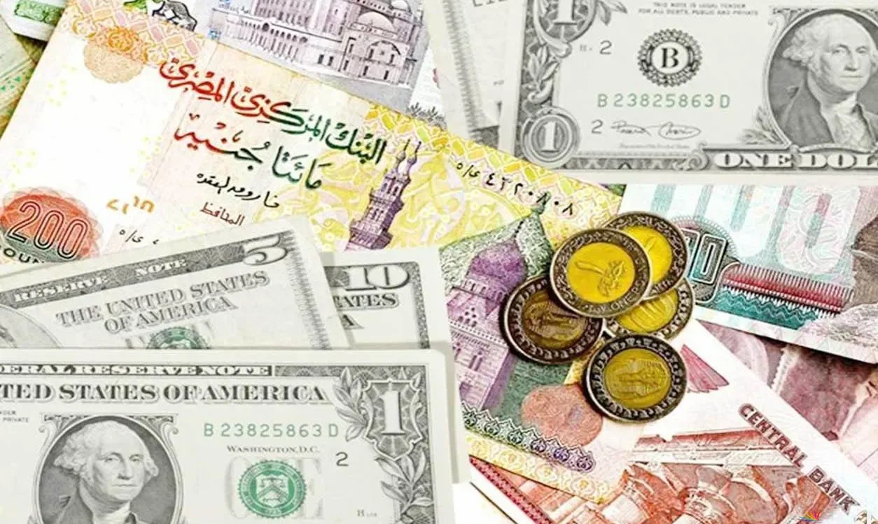 “اليورو بينهااار” أسعار العملات اليوم في السوق السوداء الخميس 24 أكتوبر 2024 وبالبنك المركزي