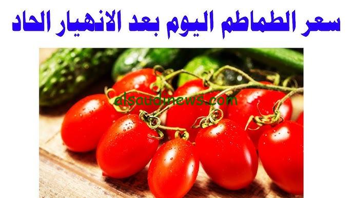 بكام اليوم؟؟.. أسعار الطماطم اليوم السبت 19-10-2024 في جميع الاسواق في مصر