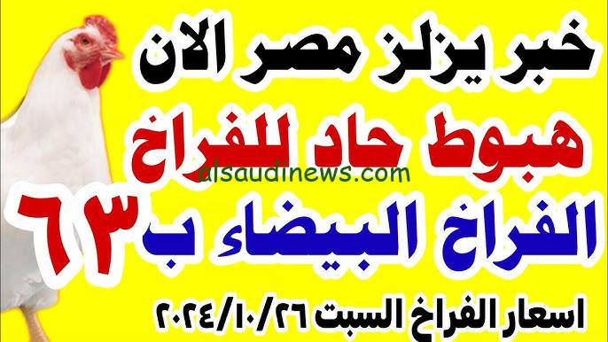 بورصة الدواجن اليوم أسعار الفراخ البيضاء والبلدي اليوم السبت 26 أكتوبر 2024 في مصر