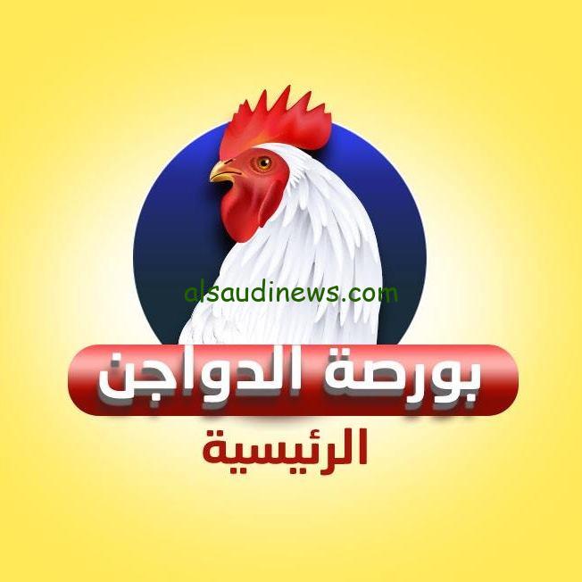 “الفراخ البيضاء والبلدي” بورصة الدواجن اليوم أسعار الفراخ البيضاء اليوم الأحد 6 أكتوبر 2024 وسعر كرتونة البيض