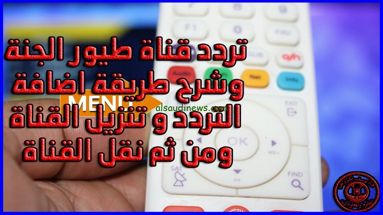 ” باعلى جودة صوت وصورة” تردد قناة طيور الجنة 2024 نايل سات وعرب سات لمتابعة الأناشيد والبرامج بجودة عالية بدون تشويش HD