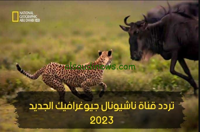 مستكشفو المحيط.. تردد قناة ناشيونال جيوغرافيك نايل سات 2024 National Geographic مجاناً بأعلى جودة