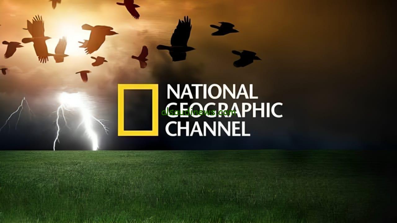 تابع حياة الشامبنزي.. تردد قناة ناشيونال جيوغرافيك على جميع الأقمار National Geographic علي النايل سات وعرب سات
