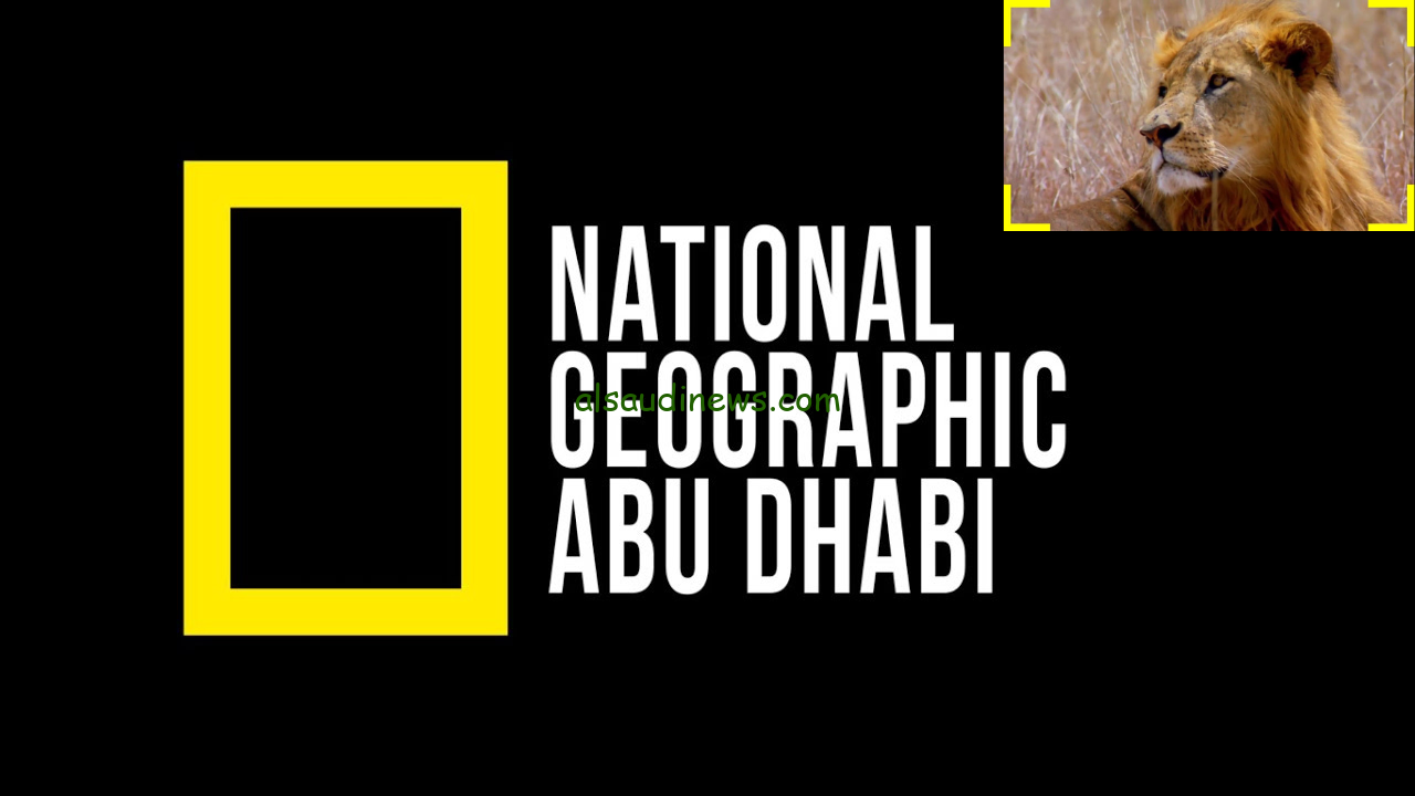 National Geographic تردد قناة ناشيونال جيوغرافيك 2024 على الاقمار الصناعية المختلفة عرب سات ونايل سات