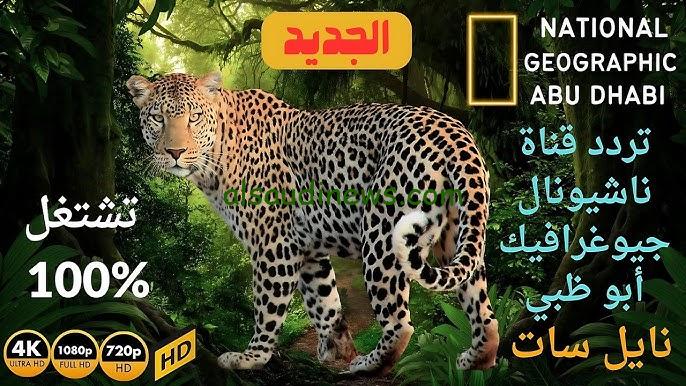 “استقبلها بجودة HD” تردد قناة ناشيونال جيوغرافيك 2024 الجديد National Geographic علي نايل سات وعرب سات
