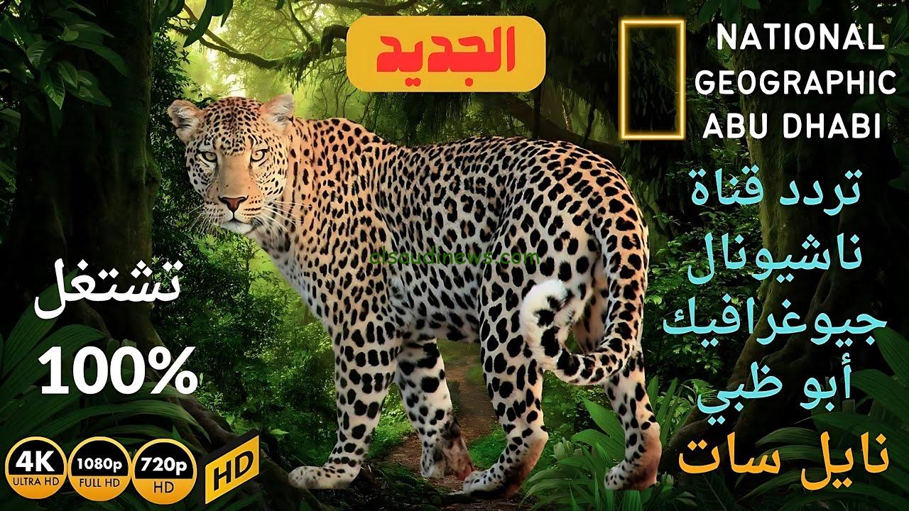 تردد قناة ناشيونال جيوغرافيك 2024 الجديد National Geographic HD علي نايل سات وعرب سات