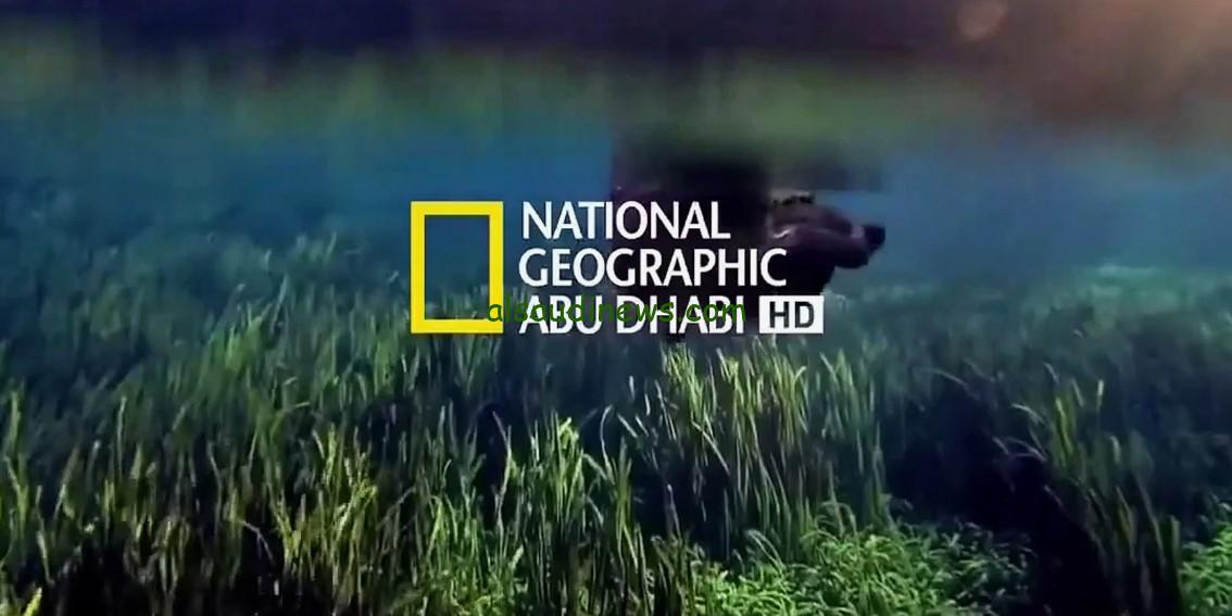 “تابع الطبيعة لحظة بلحظة” تردد قناة ناشيونال جيوغرافيك 2024 National Geographic عبر الأقمار الصناعية المختلفة عرب سات ونايل سات