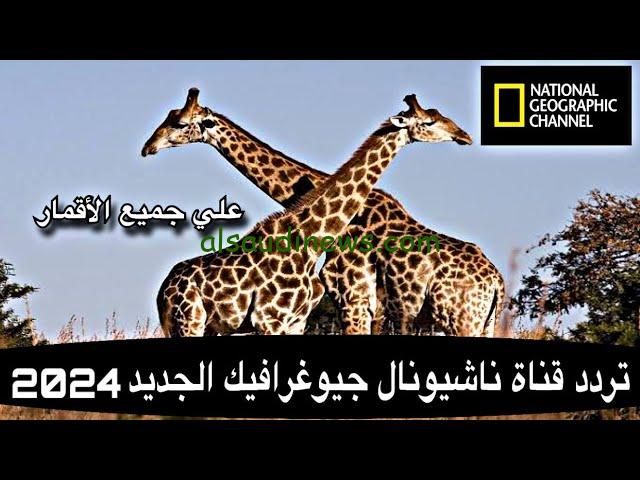 نزلها الان… تردد قناة ناشيونال جيوغرافيك على جميع الأقمار 2024 علي جميع الأقمار الصناعية بجودة HD