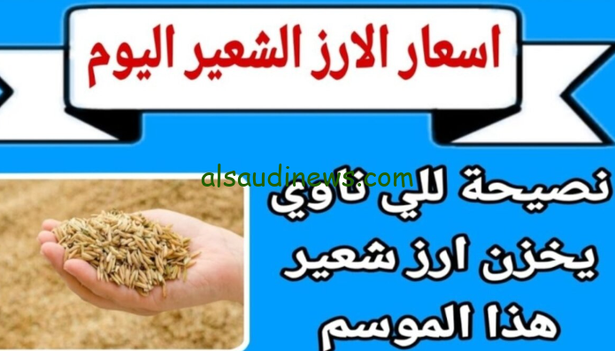 “الحبة العريضة” كم سعر طن الارز الشعير اليوم الاربعاء 9أكتوبر 2024 في جميع الاسواق المصرية