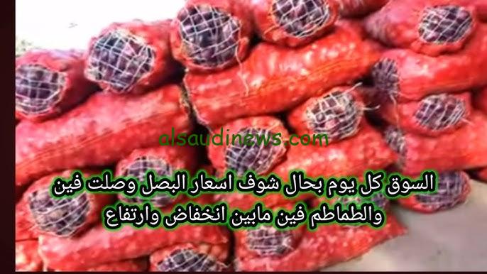 “طماطم وبطاطس وبصل” اسعار البصل اليوم السبت 12-10-2024 للمستهلك في جميع الأسواق المصرية