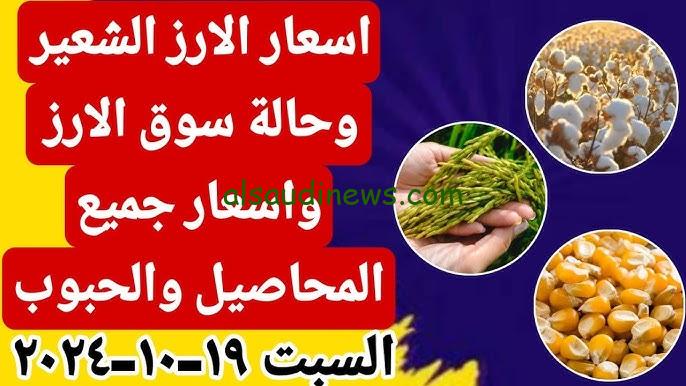 “الحبة العريضة والرفيعة” سعر طن الأرز الشعير في الاسواق اليوم الاحد 20 أكتوبر 2024 والسلع الغذائية الأساسية