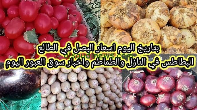 “ركب الهوا وطار” سعر البصل اليوم الخميس 10 / 10 / 2024 في سوق العبور يشهد ارتفاع