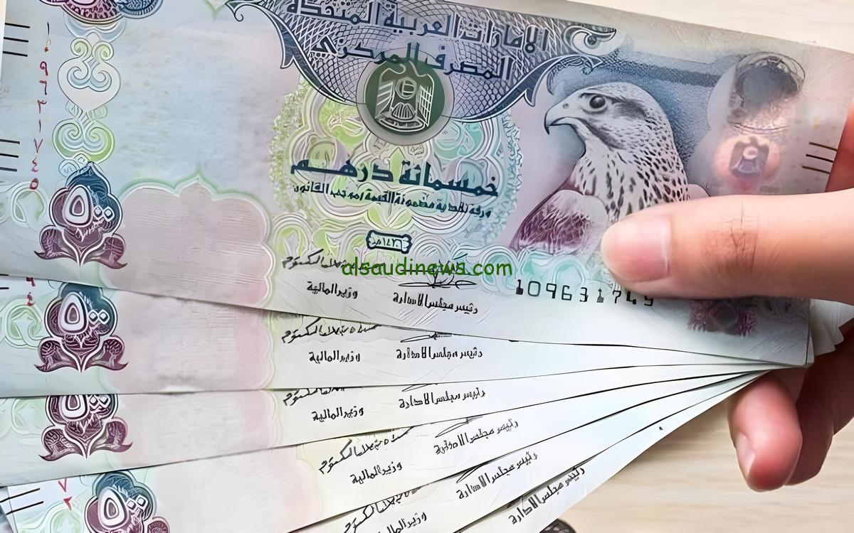 بكام تحويل 1000 درهم الى جنية مصري بالسوق السوداء؟.. سعر الدرهم الاماراتى مقابل الجنية المصري اليوم فى البنوك