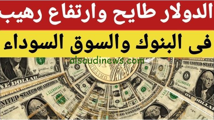 “1 دولار بكام في السوق السوداء؟ ” اعلي سعر للدولار في السوق السوداء اليوم الثلاثاء 29-10-2024 والبنوك المصرية