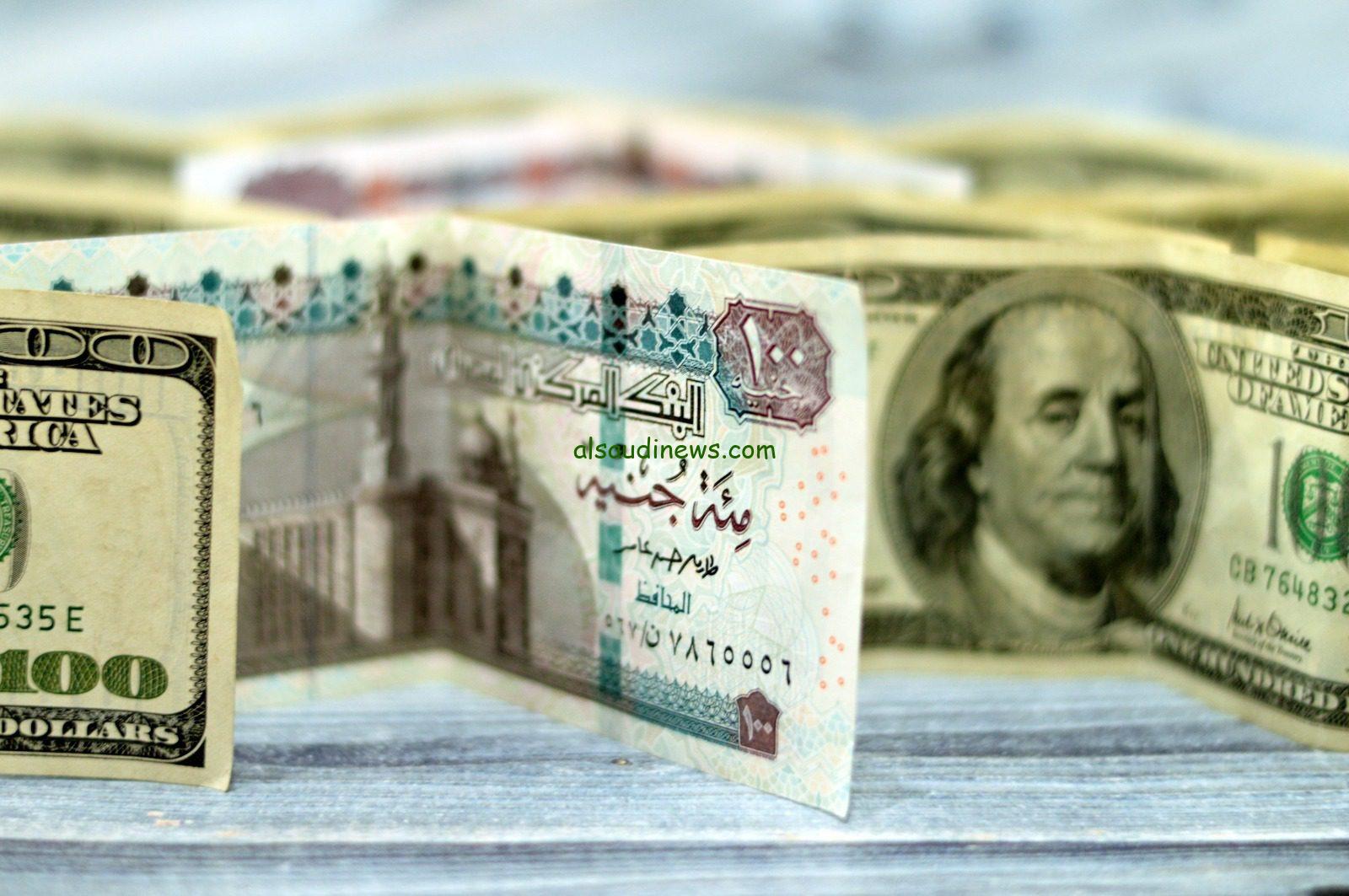 بكام صرف وتحويل ورقة 100 دولار الى جنية ؟.. سعر الدولار اليوم 13 اكتوبر 2024 فى جميع البنوك المصرية وفى السوق السوداء