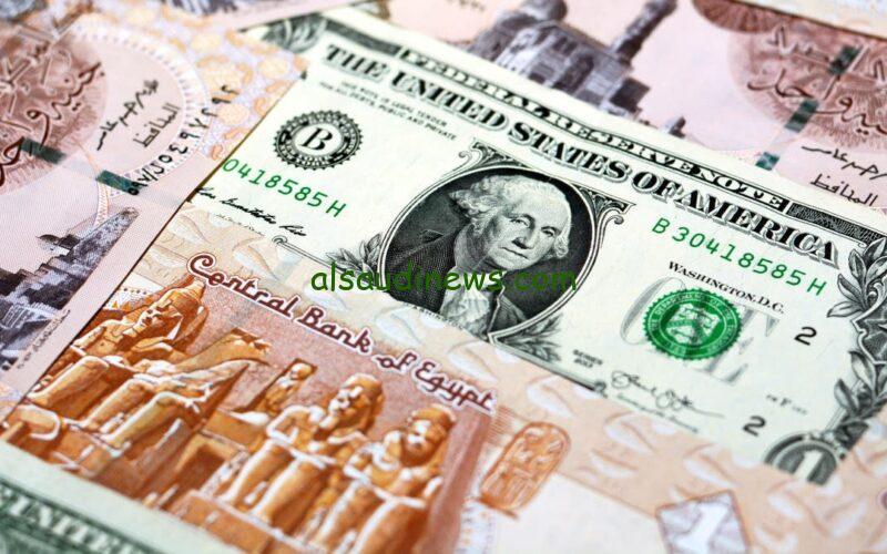 100 دولار كم جنيه؟ .. سعر الدولار اليوم في السوق السوداء الثلاثاء 8 أكتوبر 2024 والبنوك في مصر