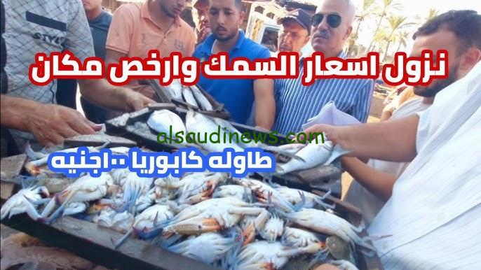 سعر السمك اليوم الخميس 17/10/2024 والمأكولات البحرية في شادر العبور
