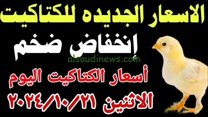 سعر الكتكوت الأبيض اليوم عمر يوم 21 أكتوبر 2024 في الشركات والأسواق