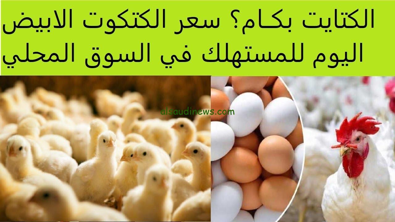 “اشتريها قبل رمضان ” سعر الكتكوت الابيض اليوم الاحد 13-10-2024 في جميع الاسواق المصرية