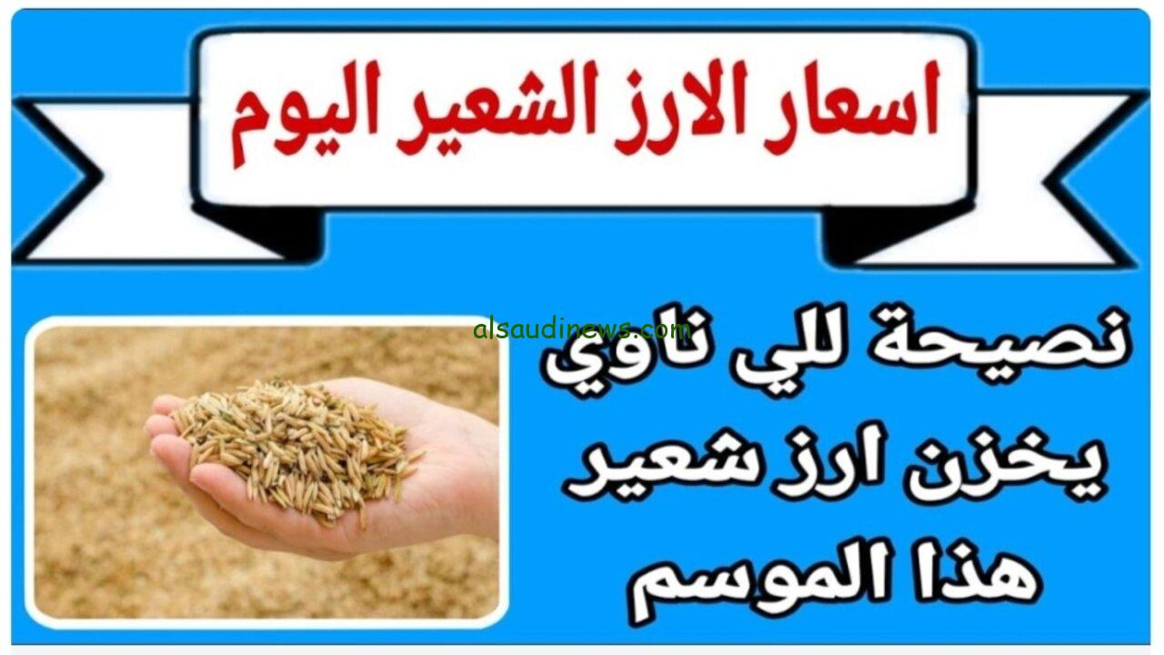 سعر طن الأرز الشعير اليوم الأربعاء 16 أكتوبر 2024 في الأسواق المحلية للمواد الغذائية