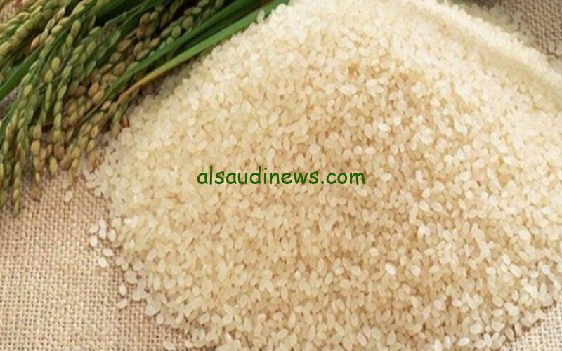 “وصل لكام انهاردة؟” سعر طن الأرز الشعير اليوم الأربعاء 23-10-2024 في الأسواق التجارية