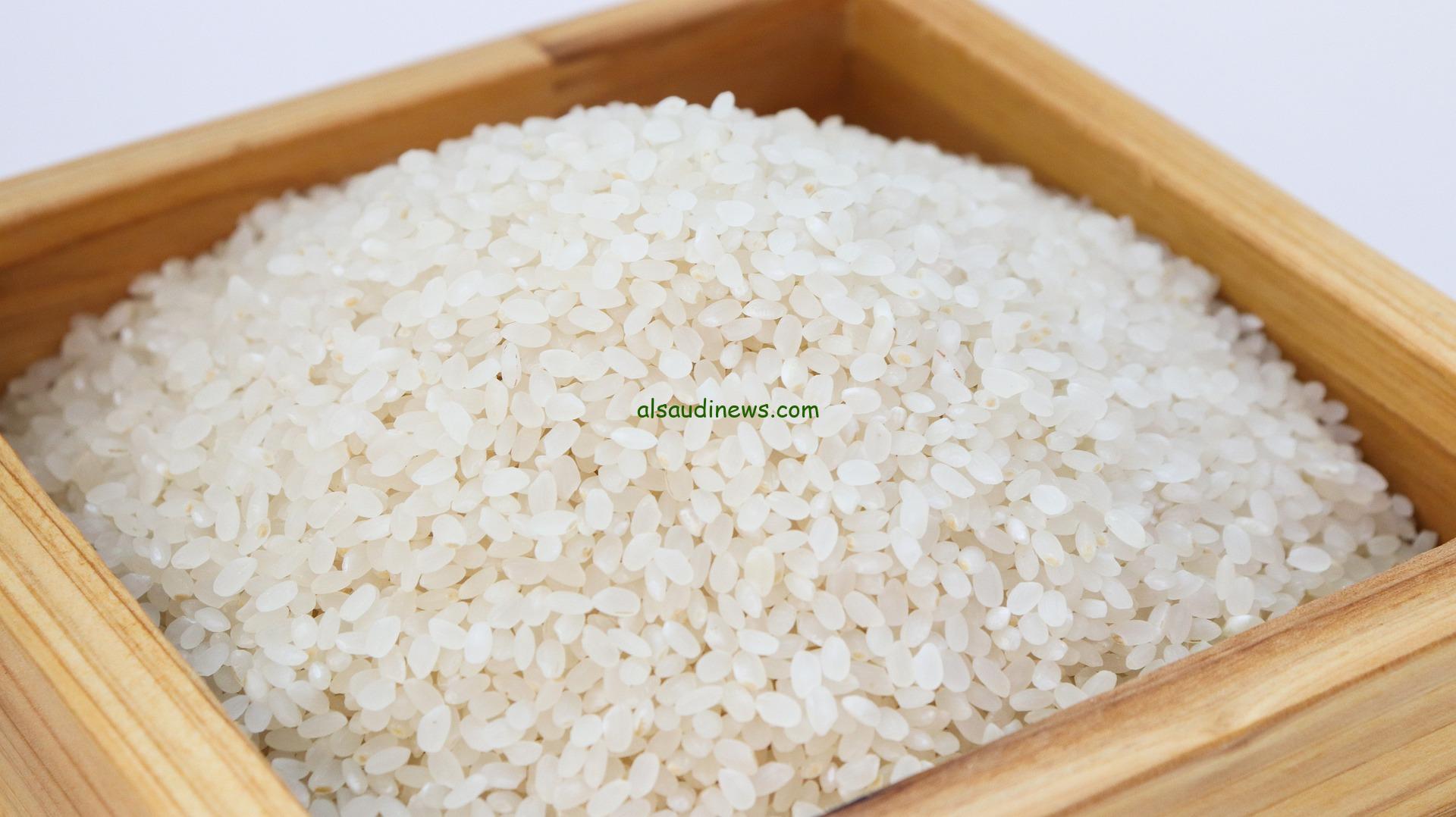 ” الحبة العريضة والرفيعة ” سعر طن الأرز الشعير اليوم الجمعة 11 أكتوبر 2024 في الأسواق المحلية
