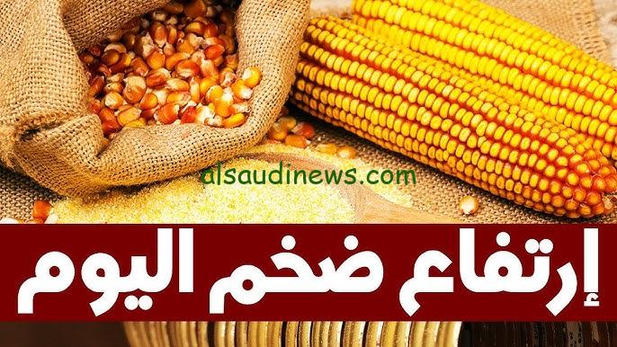 ” في مصر ” سعر طن الذرة الصفراء اليوم الثلاثاء 15 اكتوبر 2024 في جميع الاسواق للمستهلك والتاجر
