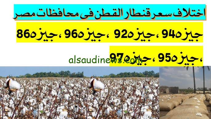 سعر قنطار القطن اليوم الخميس 17-10-2024 في جميع الاسواق المحلية