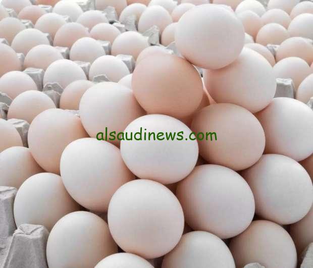 “الابيض والاحمر” سعر كرتونة البيض اليوم للمستهلك الاثنين 11-11-2024 والفراخ البيضاء والكتاكيت وفقا لأخر تحديثات