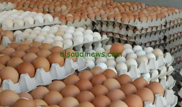 البيضة بخمسة جنيه.. سعر طبق البيض اليوم الاثنين 7 أكتوبر 2024 في جميع الاسواق المصرية