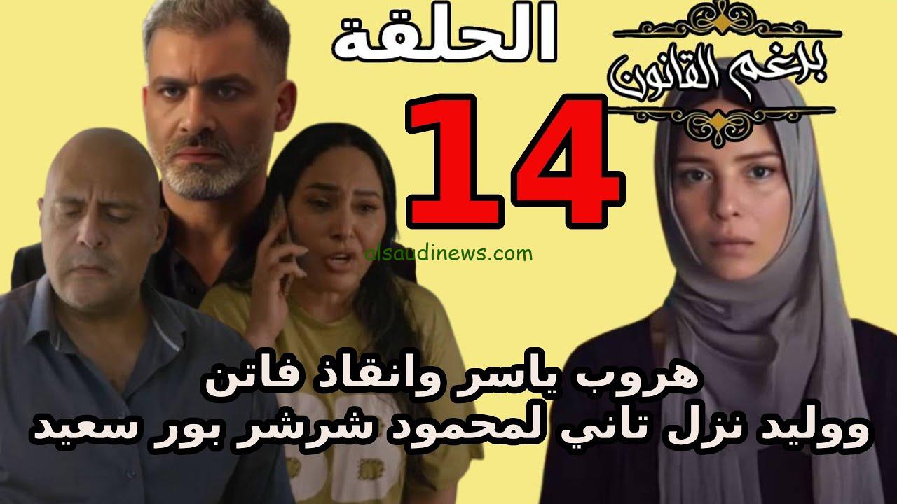 ” سقوط فاتن ” برغم القانون الحلقه 14وموعد عرض المسلسل علي قناة On Drama بجودة عالية