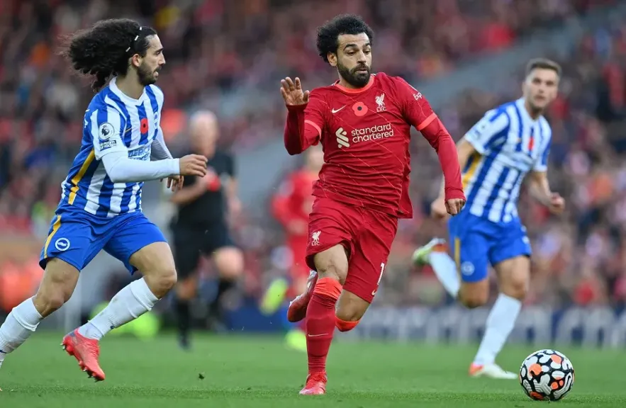 بالتوقيت الجديد.. القنوات المجانية الناقلة لمباراة ليفربول وبرايتون اليوم 2 نوفمبر 2024 بالدوري الإنجليزي