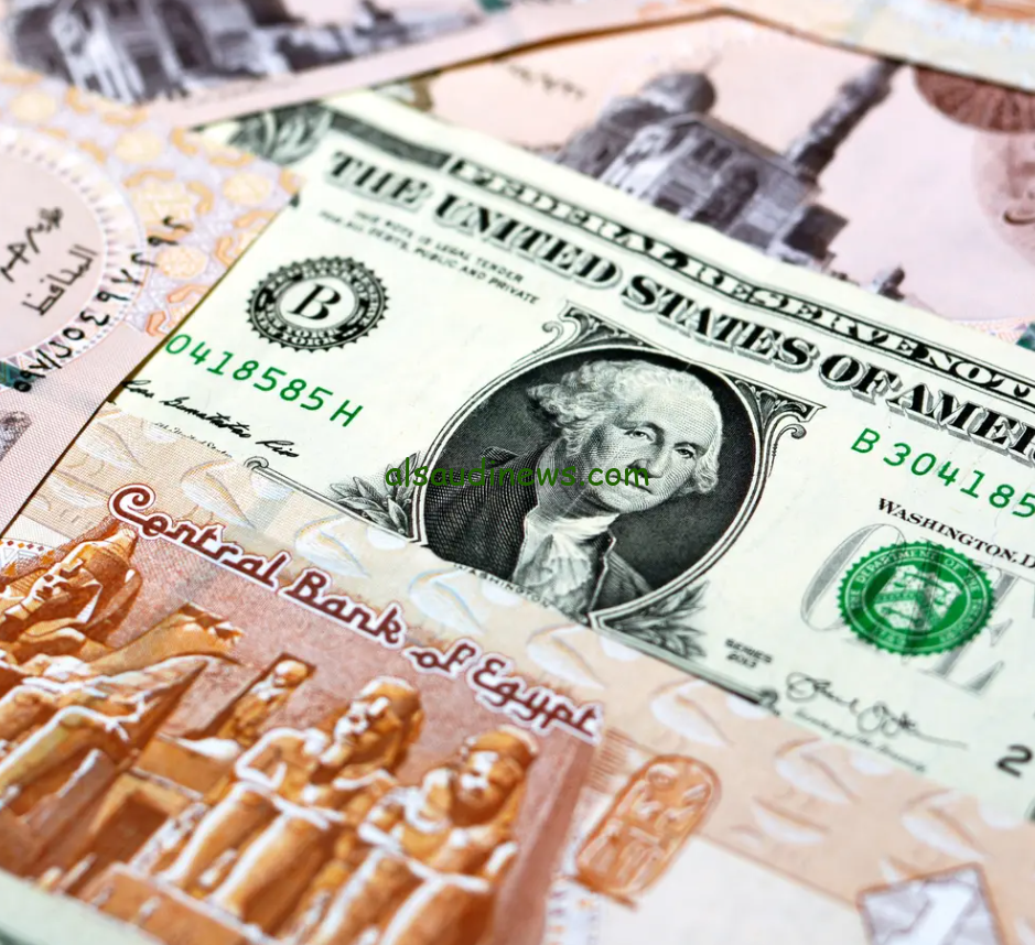 “الاخضر ينهار ” كم سعر الدولار في السوق السوداء اليوم؟ 16/11/2024 مقابل الجنية المصري
