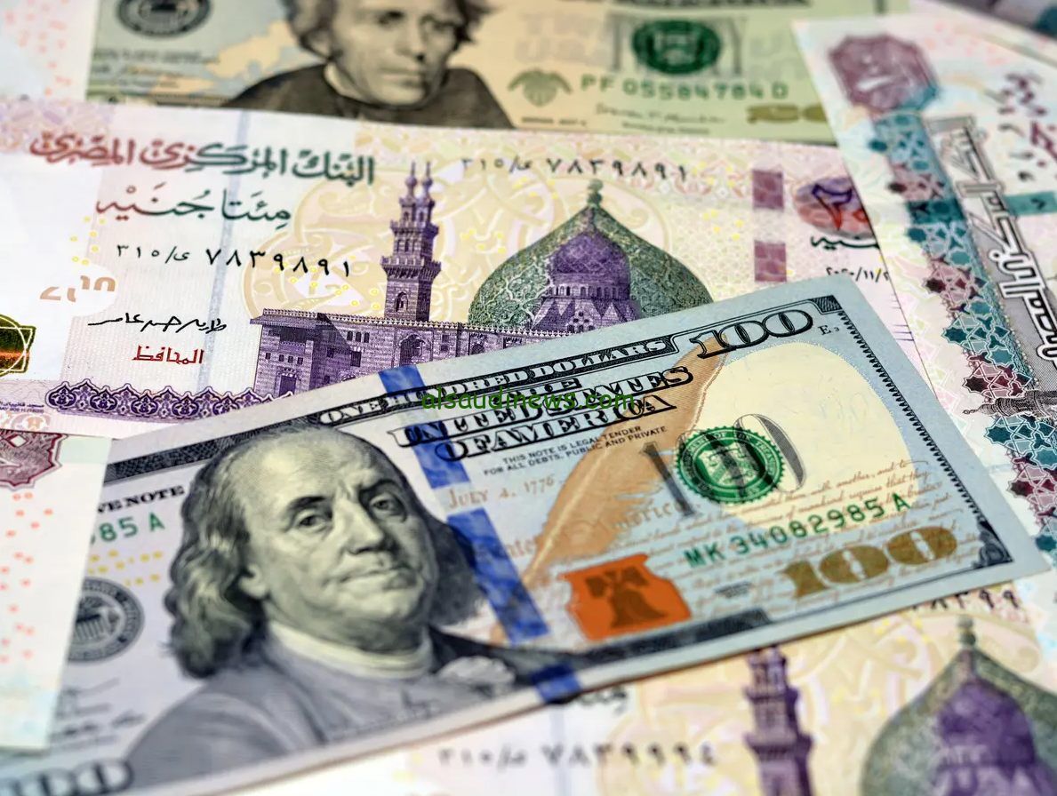 “الأخضر بقا بكام؟؟” سعر الدولار مقابل الجنيه المصري اليوم الاثنين 18 نوفمبر 2024 في جميع البنوك المصرية والسوق السوداء